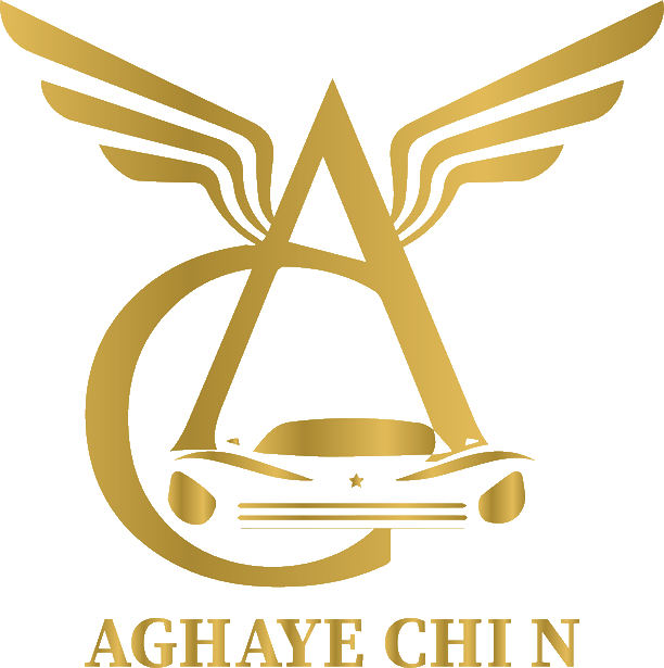 لوگو تعمیرگاه تخصصی آقای چین